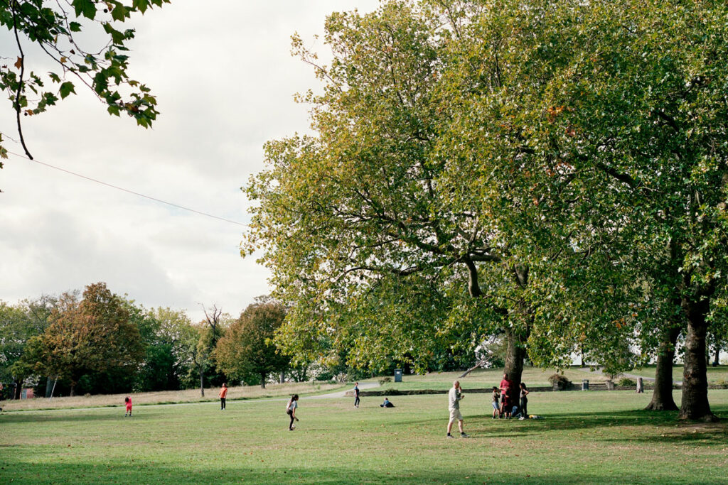 Community Park